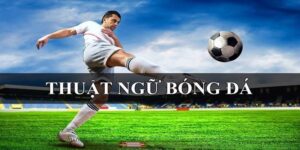 Top Các Thuật Ngữ Trong Cá Độ Bóng Đá Phổ Biến Nhất 2025