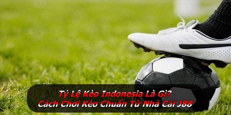 Tỷ Lệ Kèo Indonesia Là Gì? Cách Chơi Kèo Chuẩn Từ Nhà Cái J88